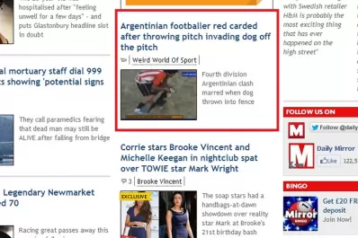 Medios del mundo hablan de José Jiménez y su exabrupto con un perro