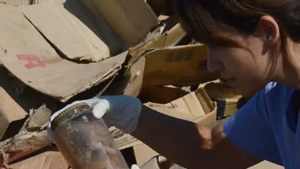 MACABRO. Personal de sanidad investigará si el líquido en el frasco es formol. FOTO TOMADA DE DIARIOPANORAMA.COM