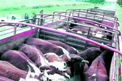 En agosto se exigirá el certificado de lavado y desinfección