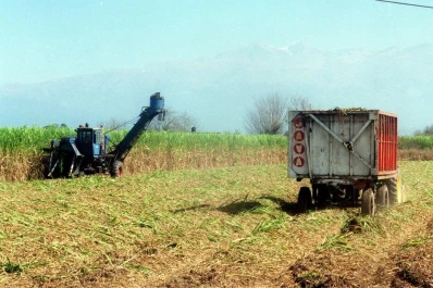 El Grupo Caña de Azúcar del INTA cumple 25 años de monitoreo de los cañaverales tucumanos
