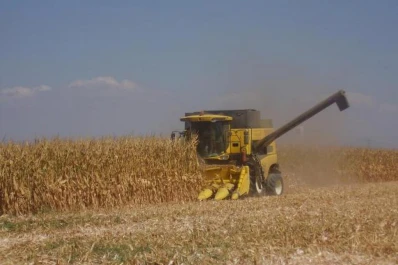 El 70% en pérdidas de cosecha del maíz es por el cabezal