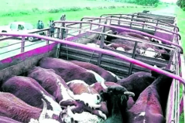 En agosto se exigirá el certificado de lavado y desinfección