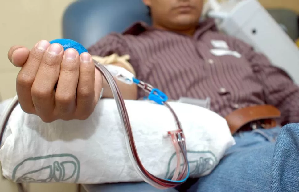 GESTO SOLIDARIO. Una unidad de sangre permite salvar tres vidas, porque de ella se extraen tres componentes: glóbulos rojos, plaquetas y plasma.  