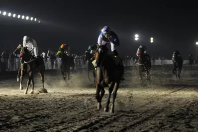 Doce ejemplares deben mostrar su resistencia