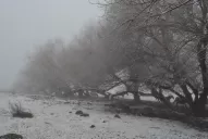Nevó en Tafí del Valle