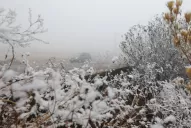 Sobran los motivos para desafiar el frío en Tafí