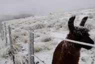 Tucumán se despertó con la temperatura más fría del año