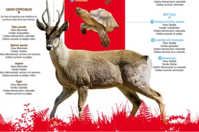 Estas especies necesitan nuestra protección