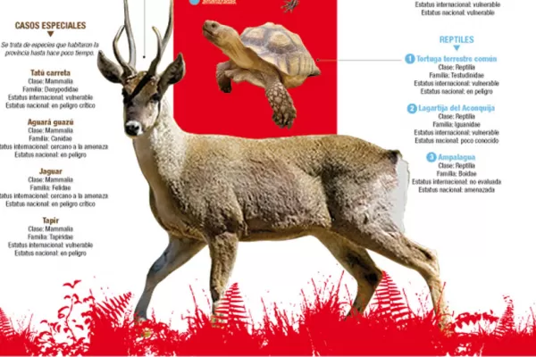 Estas especies necesitan nuestra protección