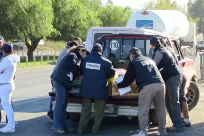 Hay que afianzar los controles contra el HLB