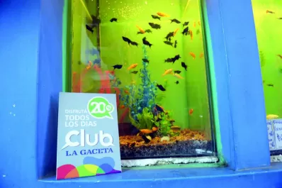 Hacé feliz a tu mascota con el Club La Gaceta