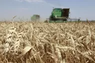 Fuerte participación de los contratistas en el sector agrícola