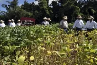 Habrá que aprender a manejar esta nueva tecnología