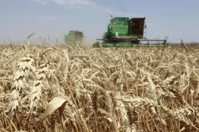 Fuerte participación de los contratistas en el sector agrícola