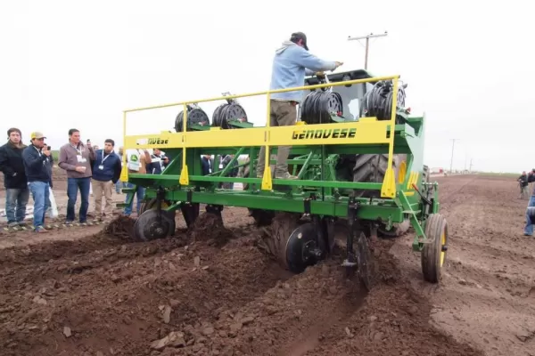 Probicaña, un paquete tecnológico para el riego, la plantación y la cosecha en áreas marginales