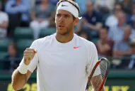 Del Potro avanzó a cuartos de Wimbledon