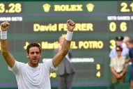 Del Potro hace historia en Wimbledon