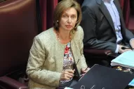 Rojkés de Alperovich: estamos indignados con lo que vivió Evo Morales