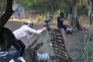 En Tafí Viejo, las balaceras de colores estallan entre los arbustos del monte