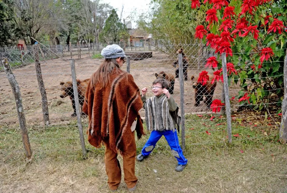 COMO UN OSO. Manuel representó a uno de los cachorros pardo por pedido de su madrina. LA GACETA / FOTOS DE FRANCO VERA 