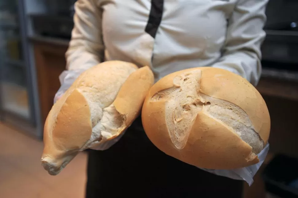 LA OPCIÓN PARA EL BOLSILLO. Los tucumanos tendrán, desde la próxima semana, la posibilidad de conseguir el pan nacional a $ 10, parecido al cacho. LA GACETA / FOTO DE DIEGO ARAOZ