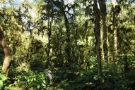 Ponete zapatillas cómodas, escapá de la ciudad y date un baño de naturaleza