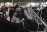 El campo se quejó de la incomprensión oficial