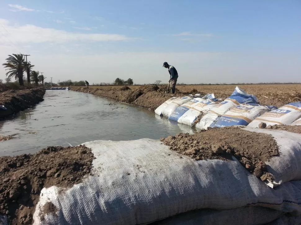 TRATAMIENTO AMBIENTAL. Leales es el primer ingenio en regar campos propios con residuos líquidos de la fábrica. FOTO DE LUIS DUARTE