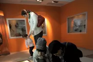 El mundo jurásico está a pocas cuadras del centro