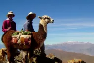 La Caravana de llamas tienta a los turistas en la Quebrada de Humahuaca