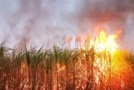 El humo causó complicaciones con los vuelos