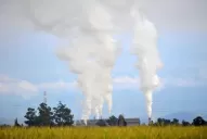 Alperovich intercede por el gas industrial