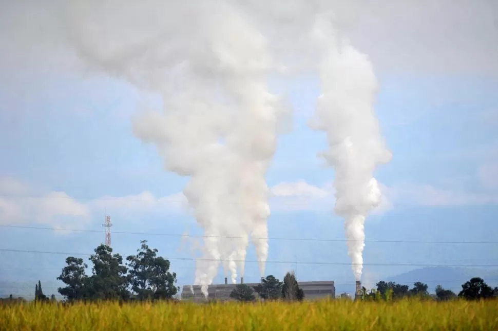 LOS MENOS AFECTADOS. Algunos ingenios continuaron la molienda porque generan su propia energía y, así, pueden sortear los cortes del fluido. LA GACETA / FOTO DE DIEGO ARAOZ