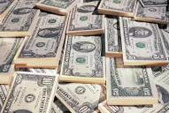 Desde que arrancó el Cedin, se suscribieron U$S 8,1 millones