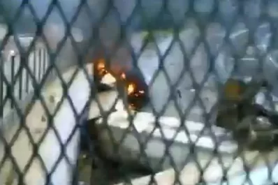 Filman el rescate de las víctimas del accidente en Galicia