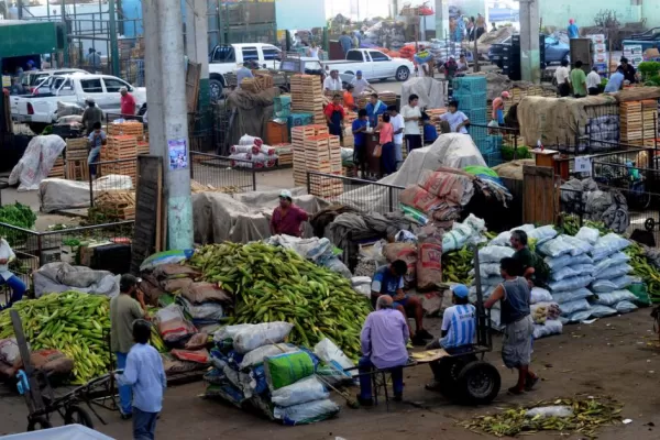 Por las heladas, suben los precios de hortalizas