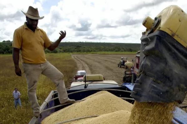 Sube el dólar paralelo, pero la soja y los bonos registran caídas