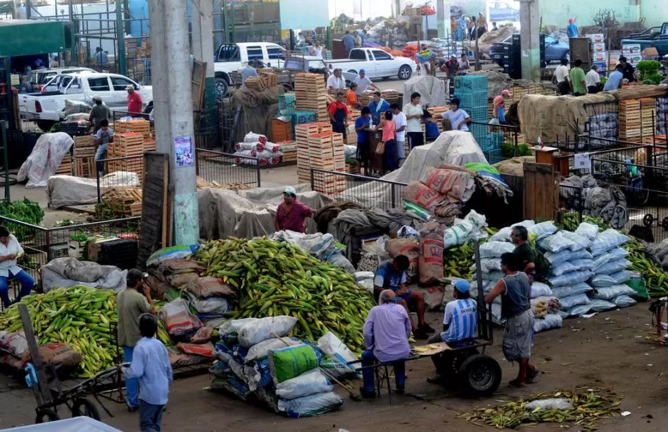 CONSUMO. En el Mercofrut confirman los aumentos de precios como efecto de las heladas, que han dañado diferentes producciones agrícolas. LA GACETA / FOTO DE FRANCO VERA  (ARCHIVO)