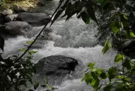 El campo reclama obras de infraestructura