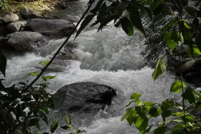 El campo reclama obras de infraestructura