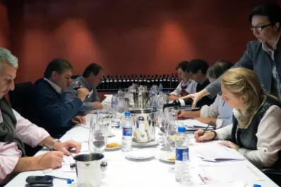 Los principales enólogos del país consideraron auspicioso el futuro de los vinos tucumanos
