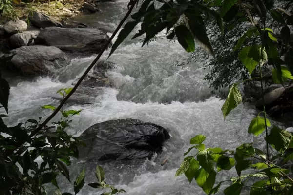 El campo reclama obras de infraestructura