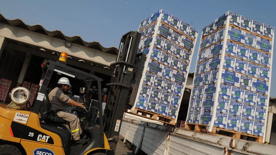 Caerá la producción citrícola por las heladas