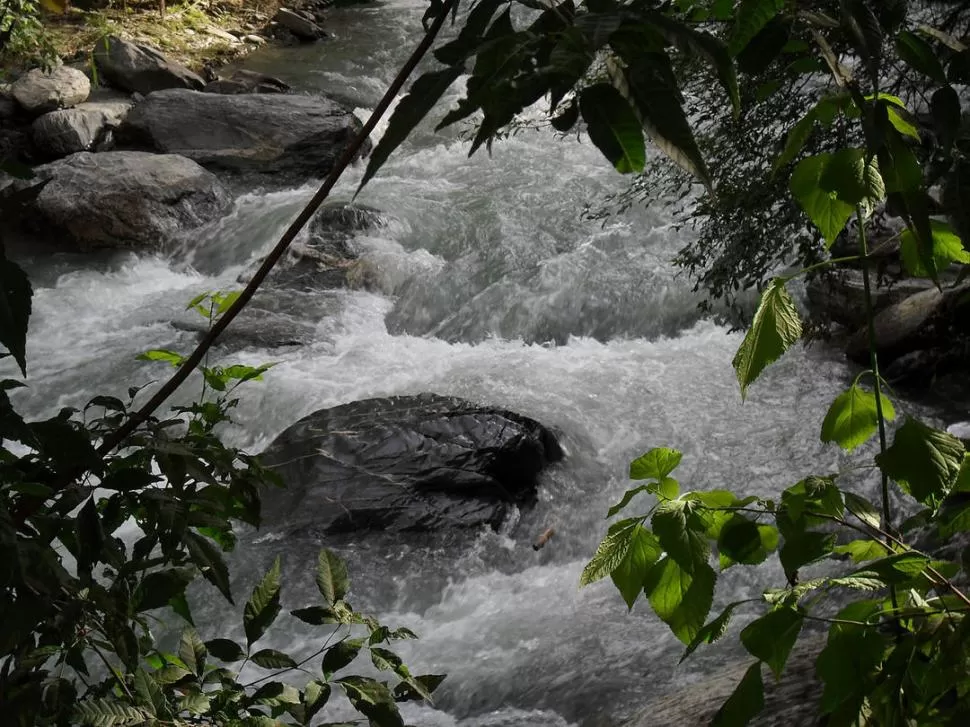 OBRAS URGENTES. La necesidad de agua es acuciante en el valle de Choromoro, por lo que no debemos dejar pasar ese recurso vital sin emplearlo adecuadamente. 