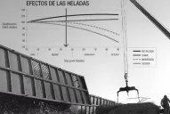 Los daños más severos se registraron en los cañaverales ubicados al Este y Sur de Tucumán