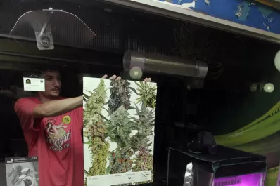 Avanza la legalización de  la marihuana en Uruguay