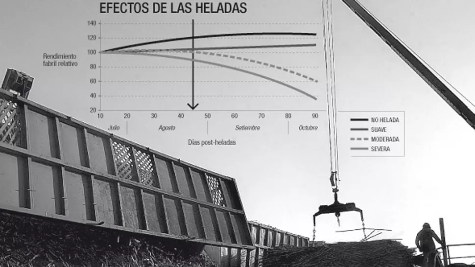 Los daños más severos se registraron en los cañaverales ubicados al Este y Sur de Tucumán