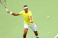 Del Potro busca el pase a semifinales en Washington