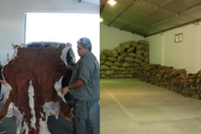 Nuevas normas para enviar subproductos de origen animal