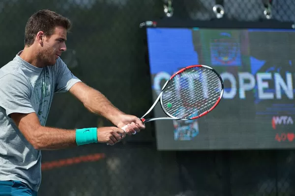 Del Potro busca la final en Washington